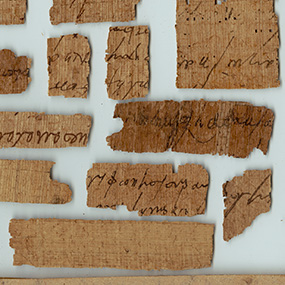 Papyri fragments with their shadows